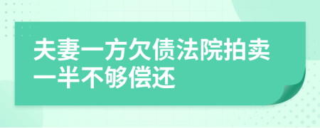 夫妻一方欠债法院拍卖一半不够偿还