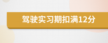 驾驶实习期扣满12分