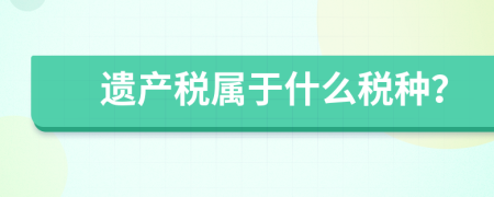 遗产税属于什么税种？