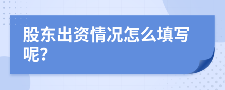 股东出资情况怎么填写呢？