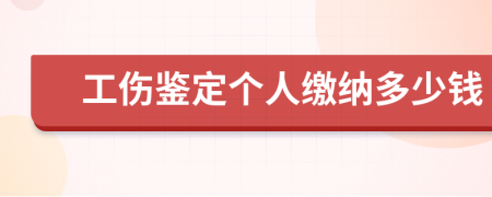 工伤鉴定个人缴纳多少钱