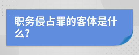 职务侵占罪的客体是什么?