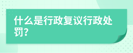 什么是行政复议行政处罚？