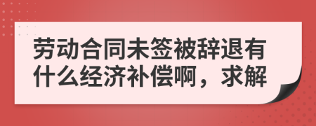 劳动合同未签被辞退有什么经济补偿啊，求解