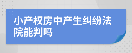 小产权房中产生纠纷法院能判吗