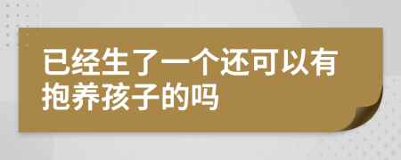 已经生了一个还可以有抱养孩子的吗