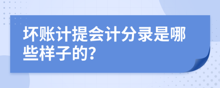 坏账计提会计分录是哪些样子的？