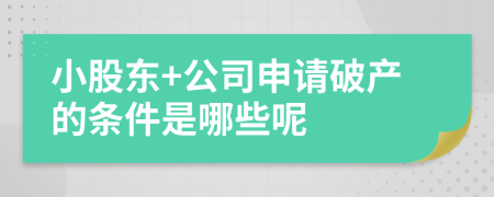 小股东+公司申请破产的条件是哪些呢