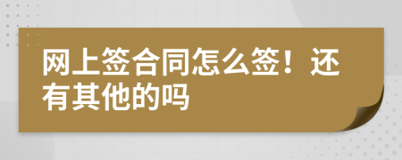 网上签合同怎么签！还有其他的吗