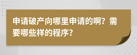 申请破产向哪里申请的啊？需要哪些样的程序？