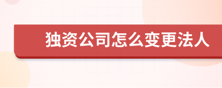 独资公司怎么变更法人