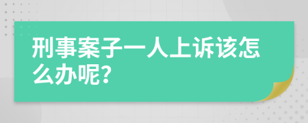 刑事案子一人上诉该怎么办呢？