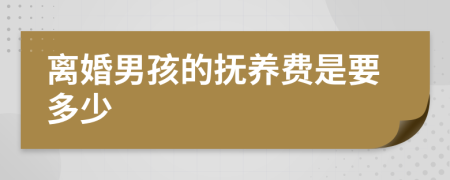 离婚男孩的抚养费是要多少