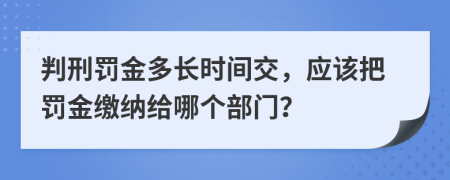 判刑罚金多长时间交，应该把罚金缴纳给哪个部门？