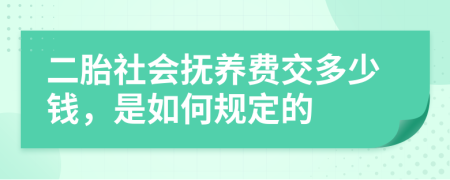 二胎社会抚养费交多少钱，是如何规定的