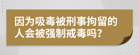 因为吸毒被刑事拘留的人会被强制戒毒吗？