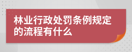 林业行政处罚条例规定的流程有什么