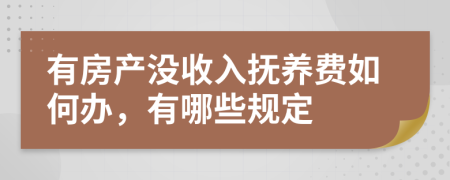 有房产没收入抚养费如何办，有哪些规定