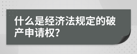 什么是经济法规定的破产申请权？