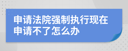 申请法院强制执行现在申请不了怎么办