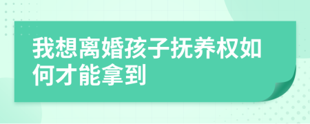 我想离婚孩子抚养权如何才能拿到