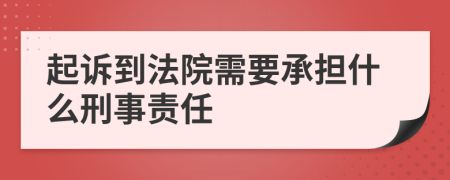 起诉到法院需要承担什么刑事责任