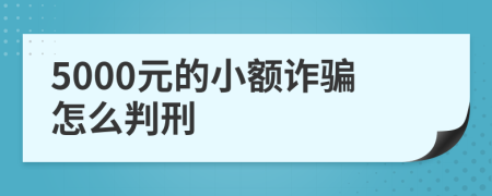 5000元的小额诈骗怎么判刑