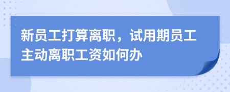 新员工打算离职，试用期员工主动离职工资如何办