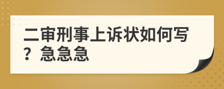 二审刑事上诉状如何写？急急急