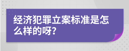 经济犯罪立案标准是怎么样的呀？