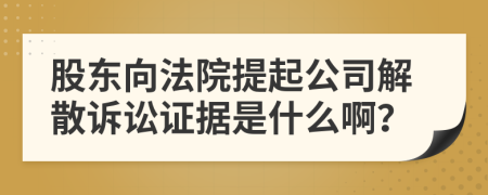 股东向法院提起公司解散诉讼证据是什么啊？