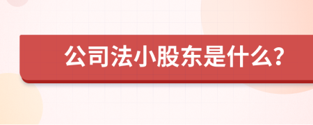 公司法小股东是什么？