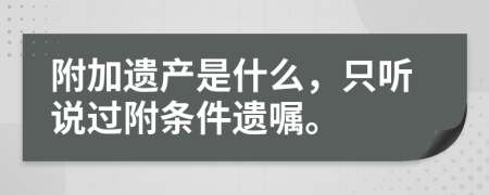 附加遗产是什么，只听说过附条件遗嘱。