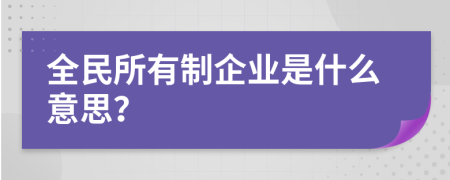 全民所有制企业是什么意思？