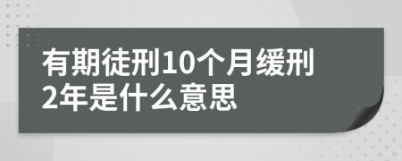 有期徒刑10个月缓刑2年是什么意思