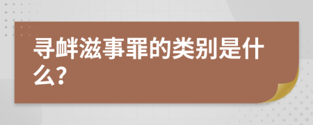 寻衅滋事罪的类别是什么？