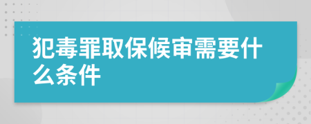 犯毒罪取保候审需要什么条件