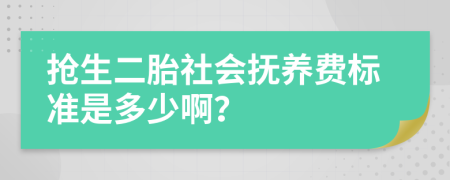 抢生二胎社会抚养费标准是多少啊？