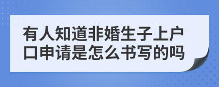 有人知道非婚生子上户口申请是怎么书写的吗