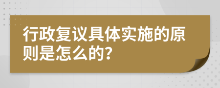 行政复议具体实施的原则是怎么的？