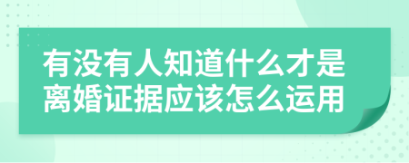 有没有人知道什么才是离婚证据应该怎么运用