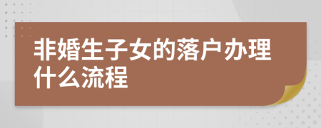 非婚生子女的落户办理什么流程