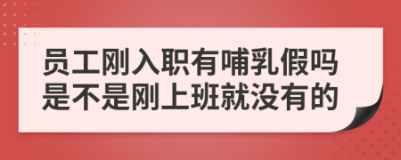 员工刚入职有哺乳假吗是不是刚上班就没有的