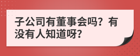 子公司有董事会吗？有没有人知道呀？