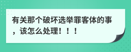 有关那个破坏选举罪客体的事，该怎么处理！！！