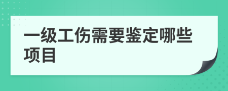 一级工伤需要鉴定哪些项目