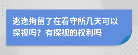 逃逸拘留了在看守所几天可以探视吗？有探视的权利吗