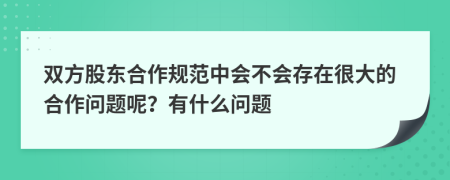 双方股东合作规范中会不会存在很大的合作问题呢？有什么问题
