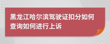 黑龙江哈尔滨驾驶证扣分如何查询如何进行上诉