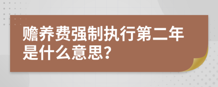 赡养费强制执行第二年是什么意思？